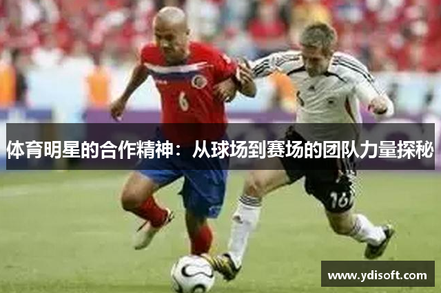 体育明星的合作精神：从球场到赛场的团队力量探秘